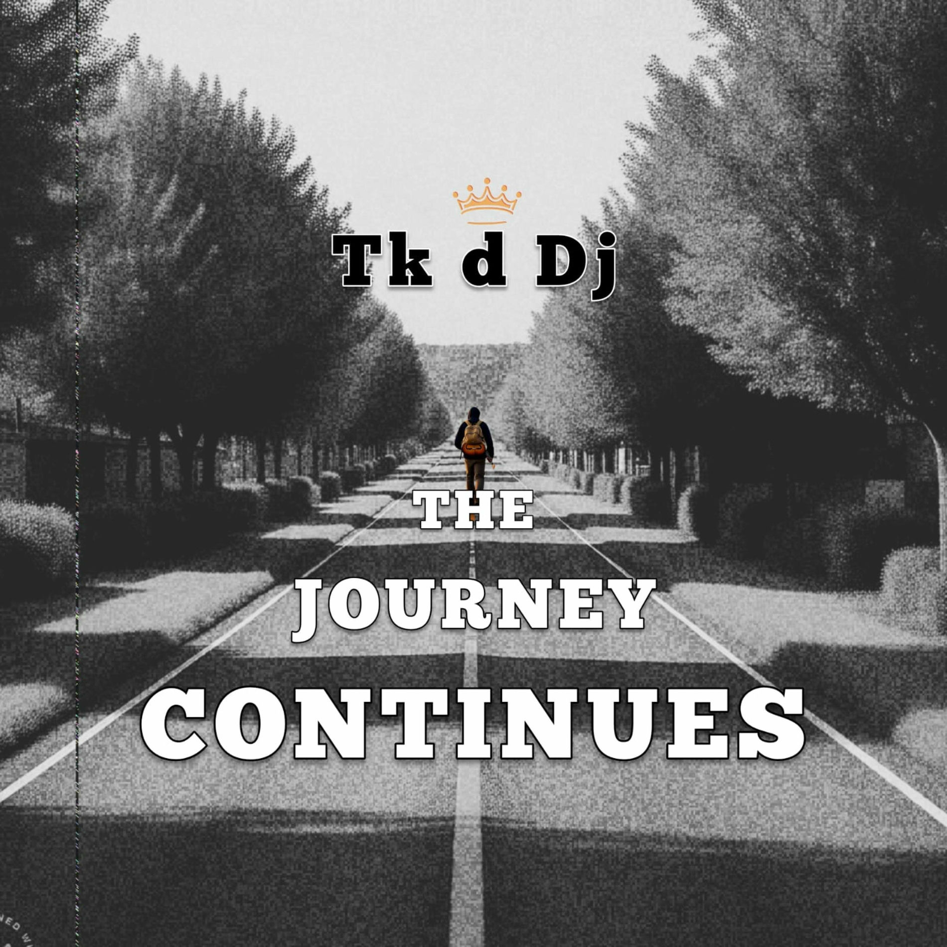Album cover of The journey continues