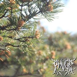 Cover of Чур