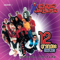 Cover of 12 Grandes exitos Vol. 1
