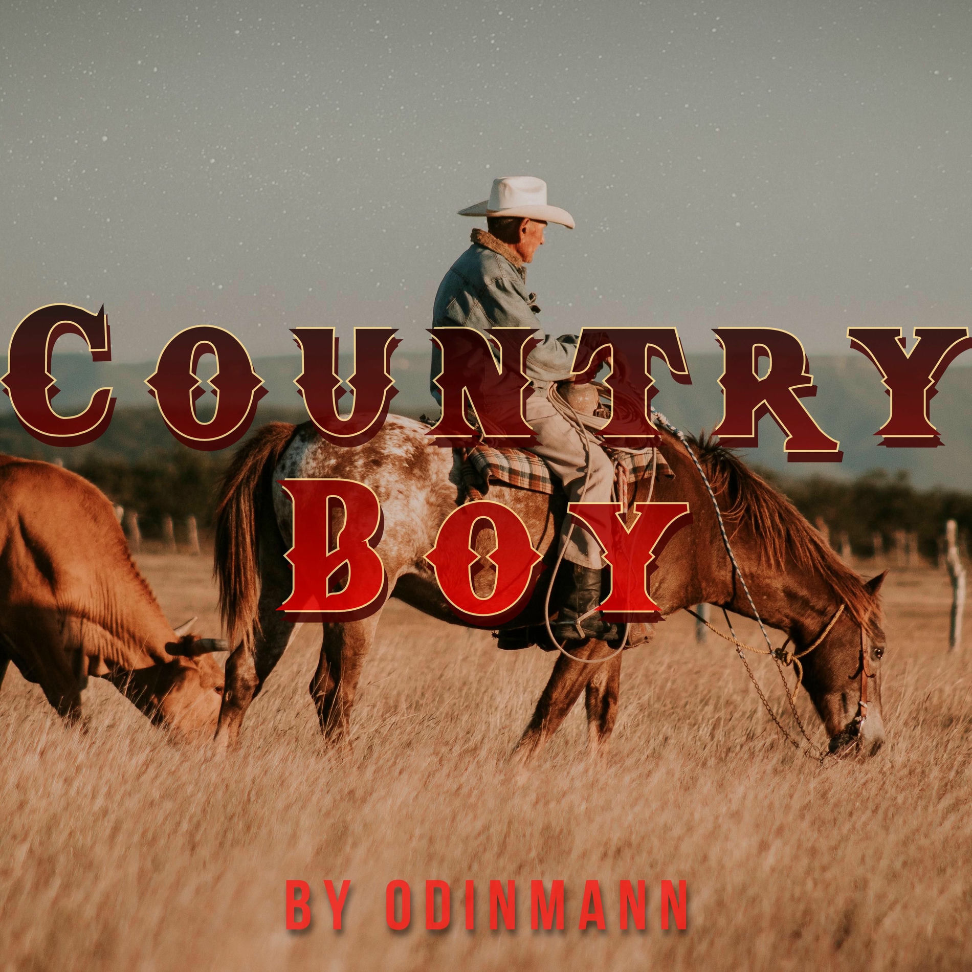 Album cover of Country Boy