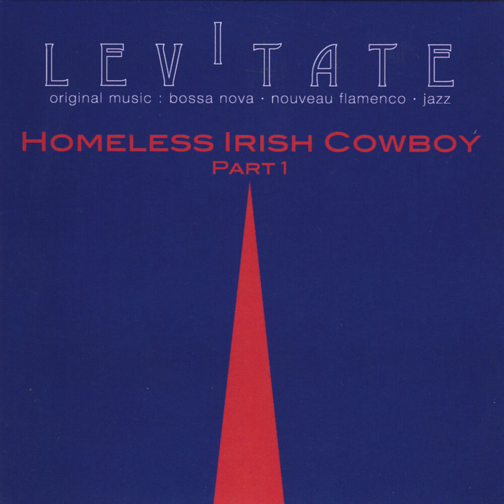 Picture of Homeless Irish Cowboy, Pt. One