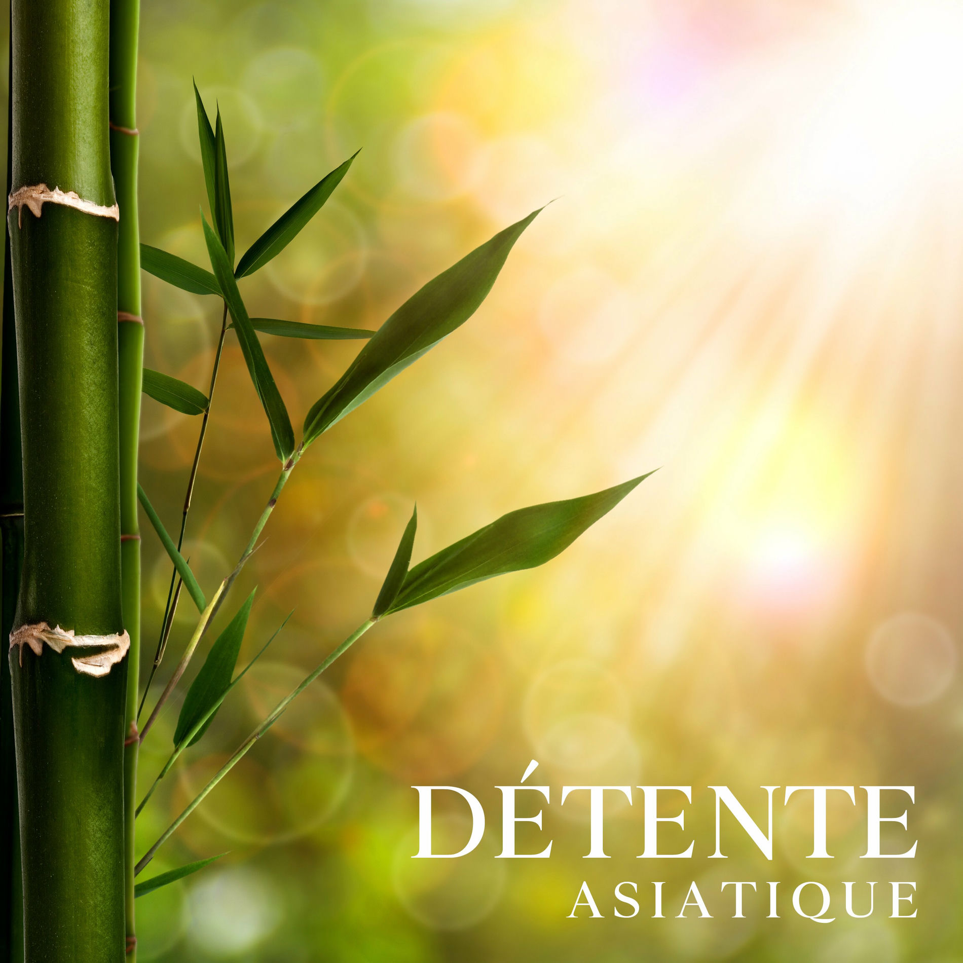 Album cover of Détente asiatique: Musique traditionnelle chinoise pour relaxation, Trouver la paix, Sons de guérison du zen