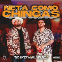 Cover of Neta Como Chingas