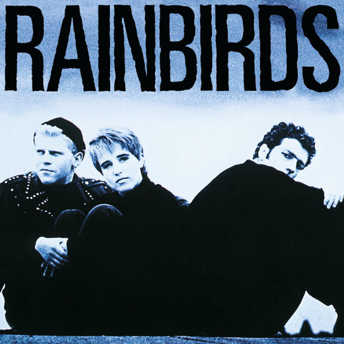 Rain Birds by Rainbirds - 115 BPM