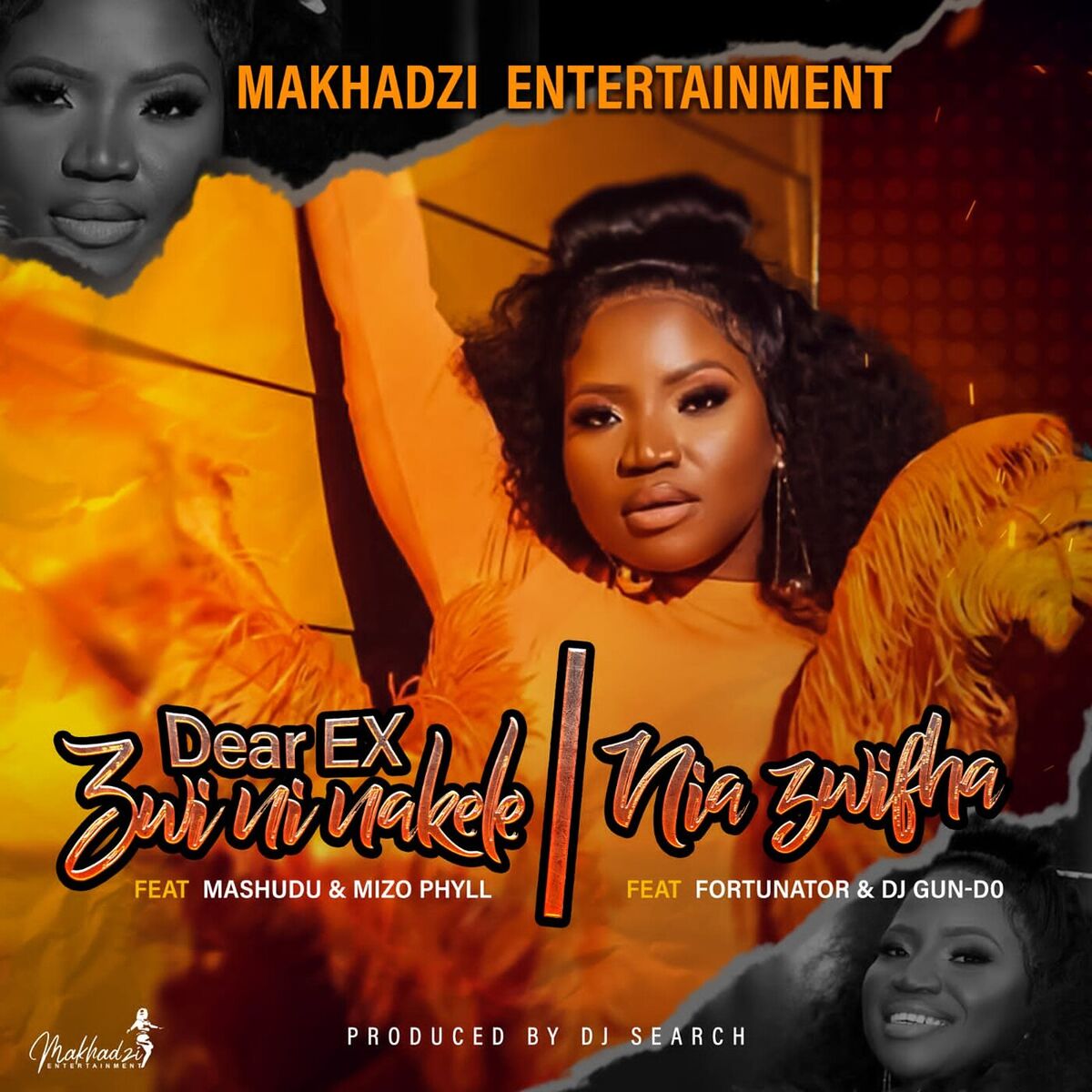 Album cover of Dear EX (Zwininakele) [feat. Mashudu, Mizo Phyll]