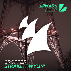 Cover of Straight Wylin'