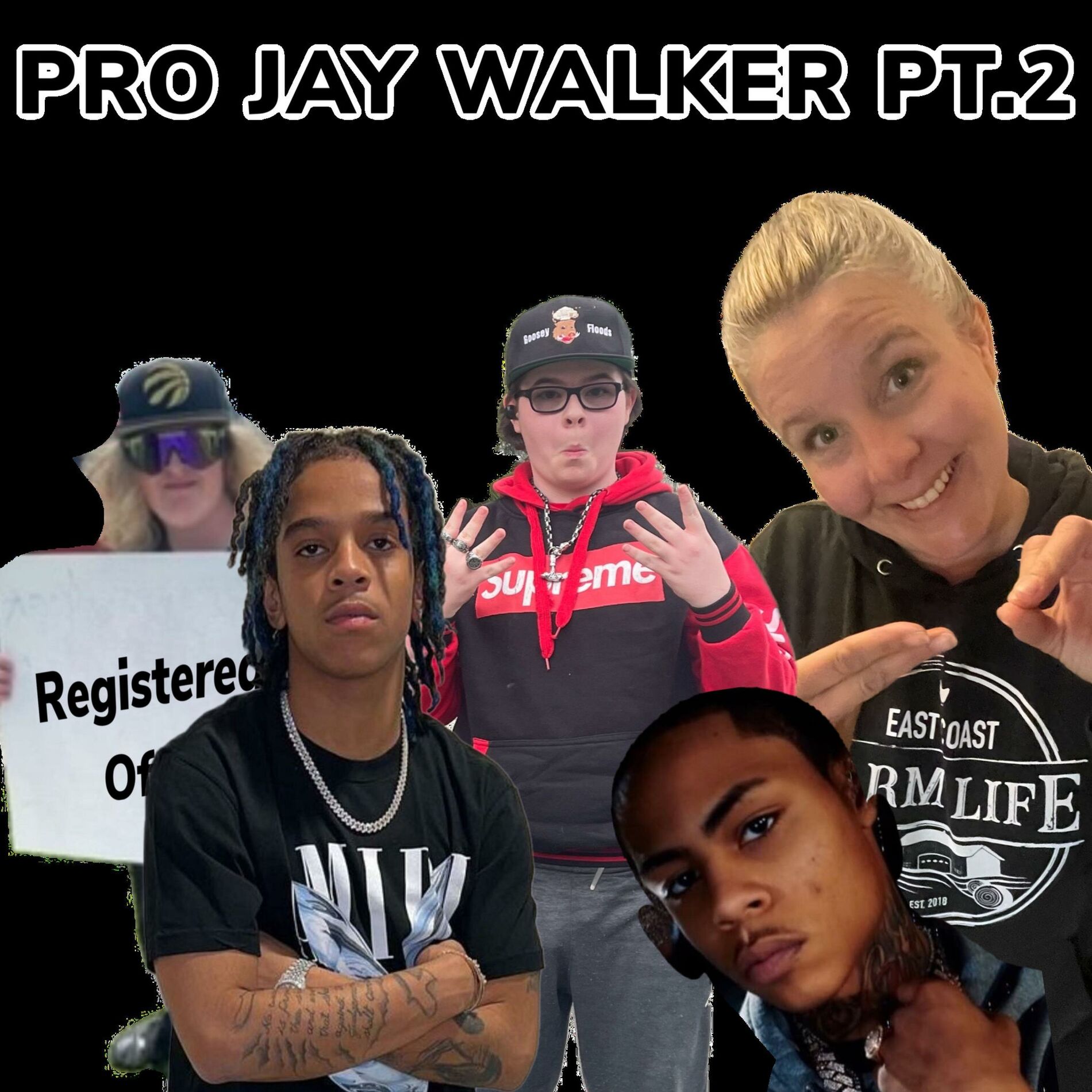 Album cover of Pro Jay Walker, Pt. 2 (feat. J Fllock & C Blu)