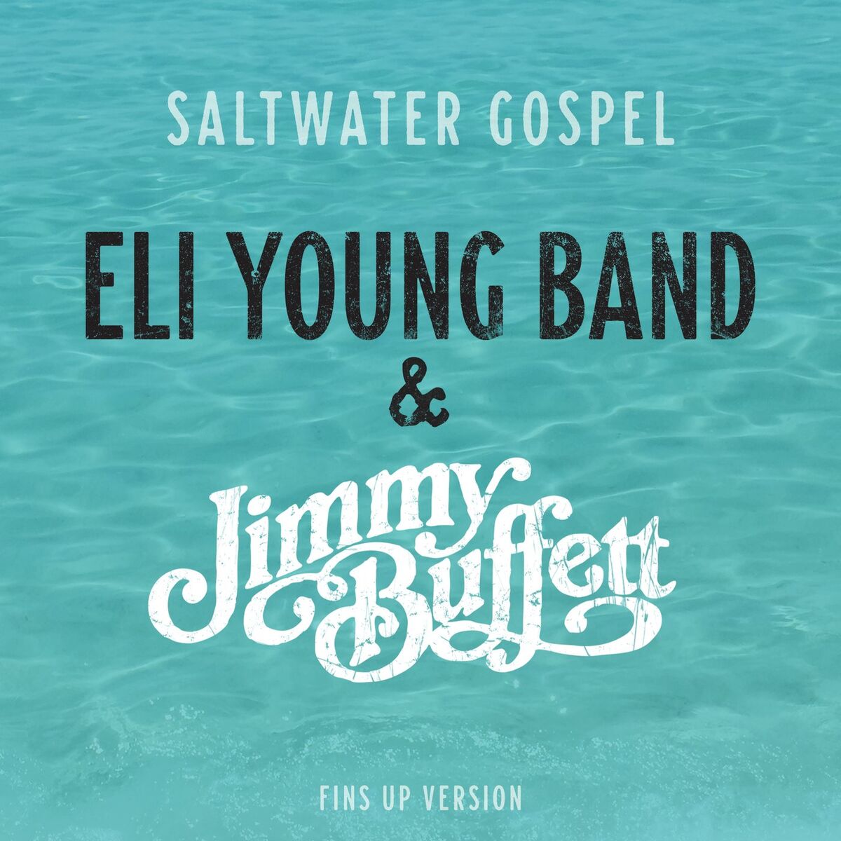 Album cover of Saltwater Gospel