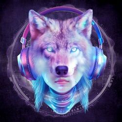 Cover of XDM Unidentified Waves