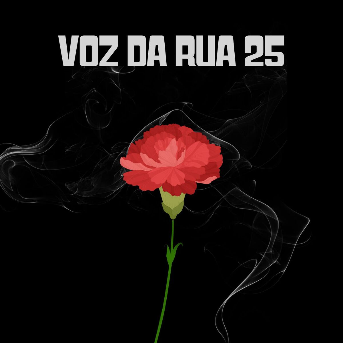 Album cover of Voz Da Rua 25