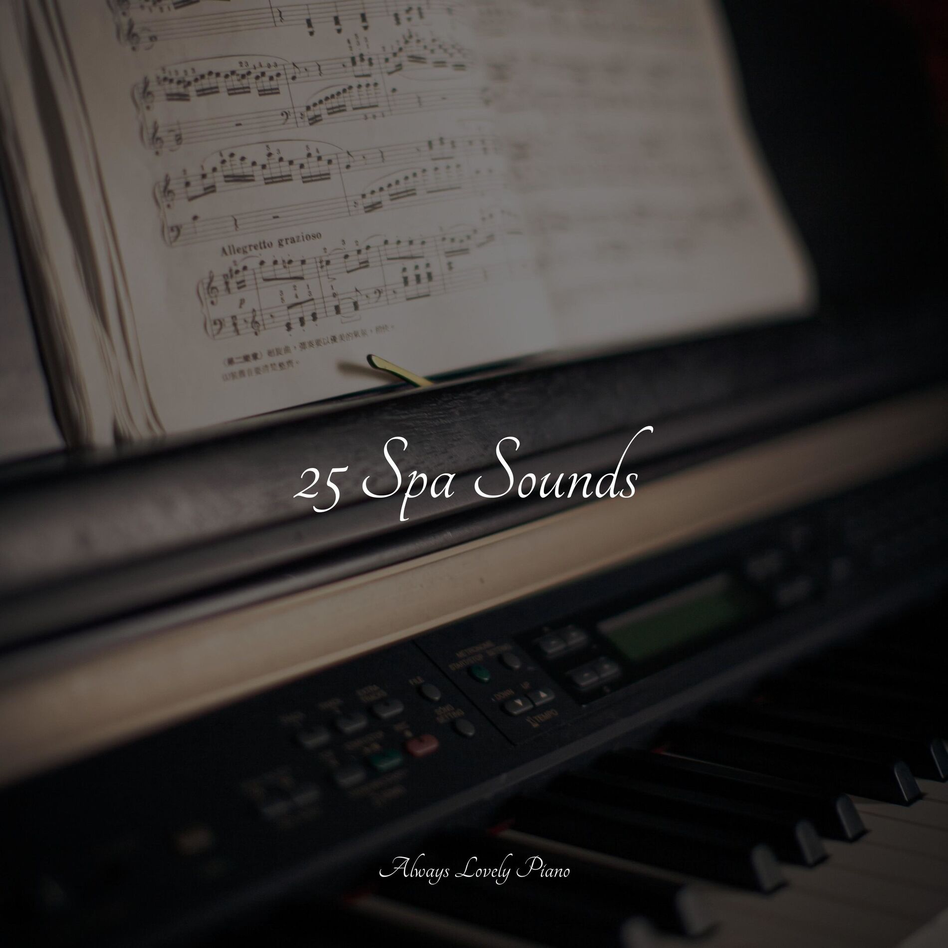 Album cover of 25 Spa Sounds