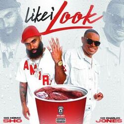Cover of Like I Look