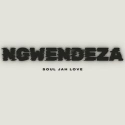 Cover of Ngwendeza