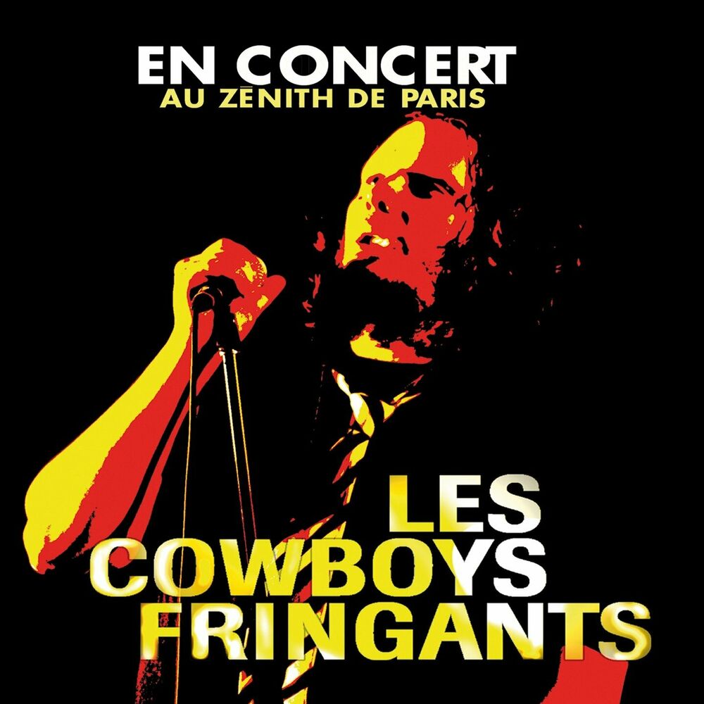 Picture of En concert au Zénith de Paris (Live)
