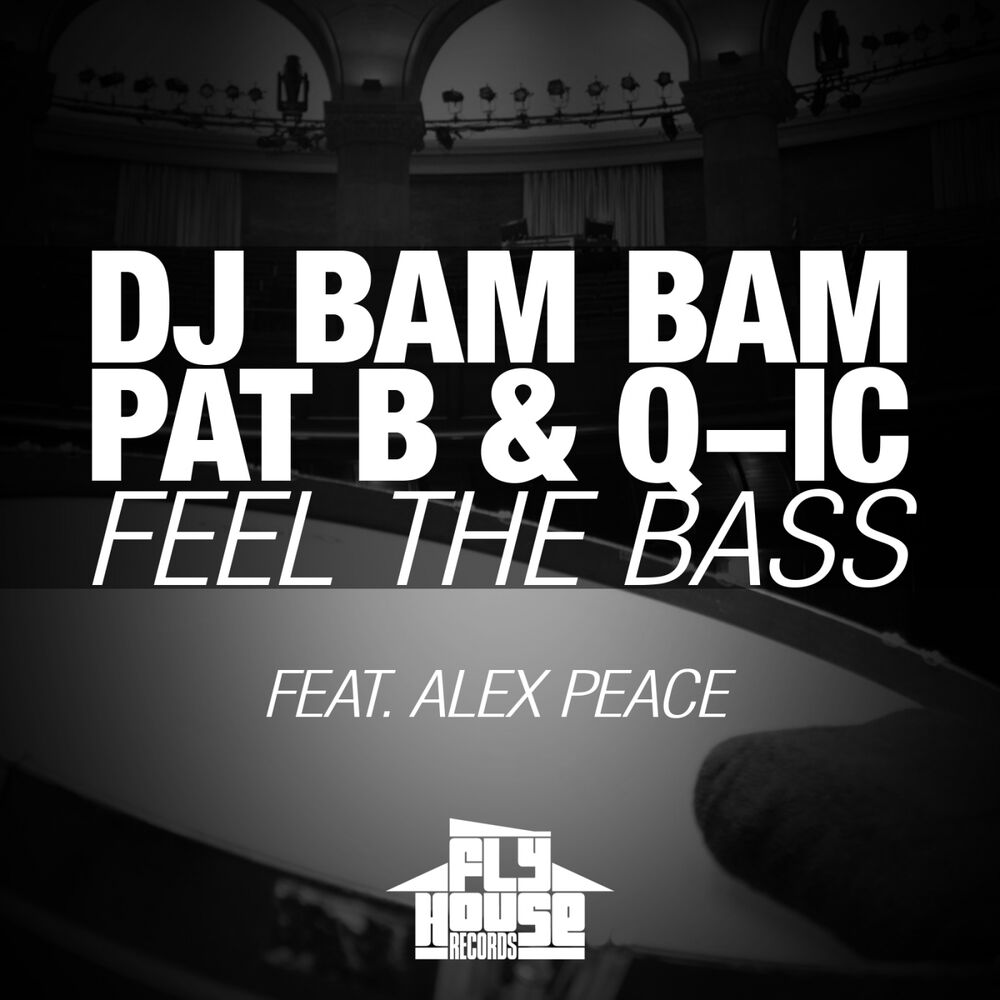 Picture of Feel the Bass (Radio Mix) (feat. Alex Peace)