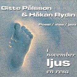 Cover of I novemberljus - En resa
