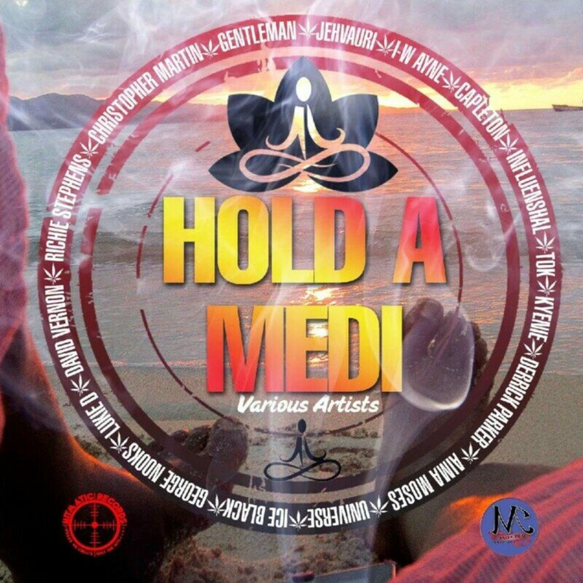 Album cover of Hold a Medi Megamix