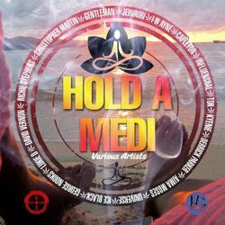 Cover of Hold a Medi Megamix