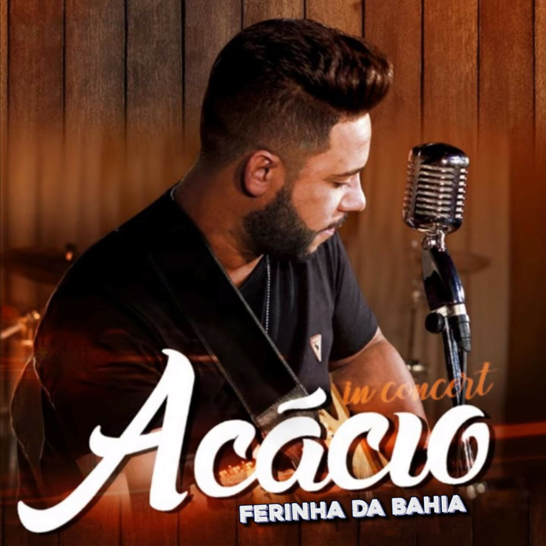 Album cover of In Concert
