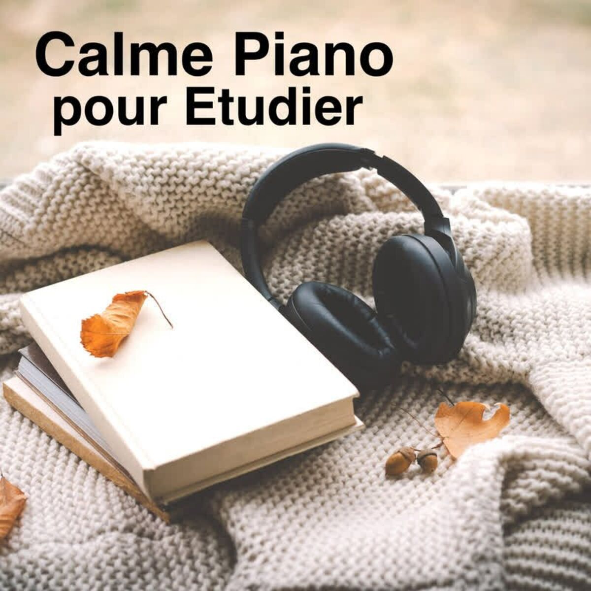Album cover of Calme Piano pour Etudier