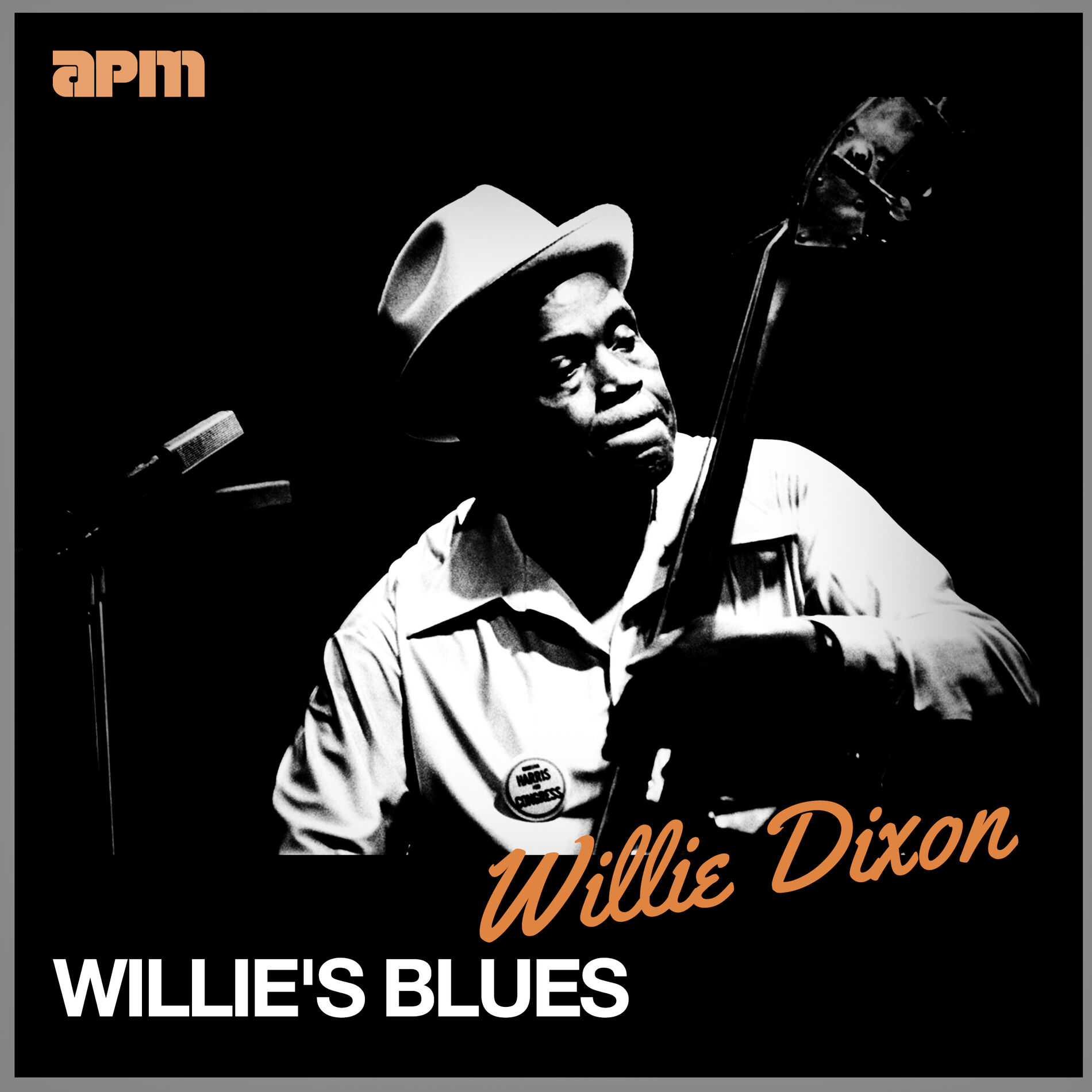 Album cover of Willie's Blues