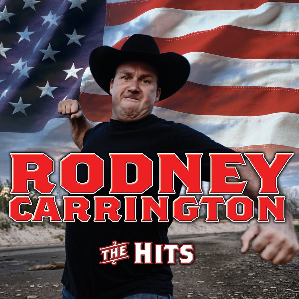 Picture of The Hits