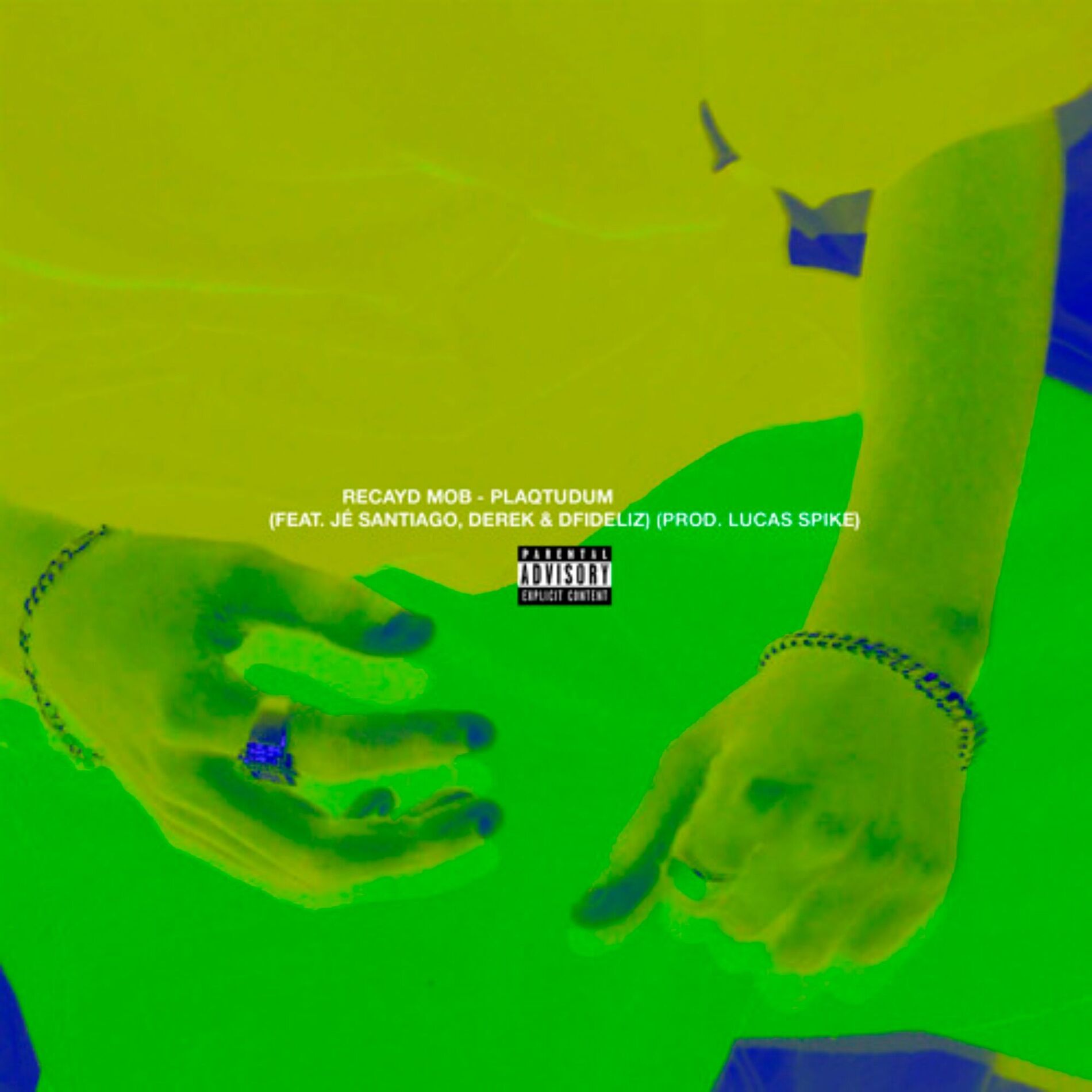 Album cover of Plaqtudum