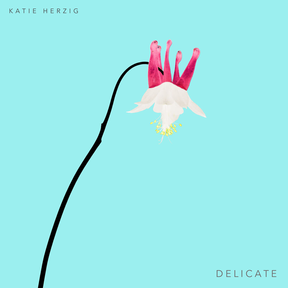 Picture of Delicate