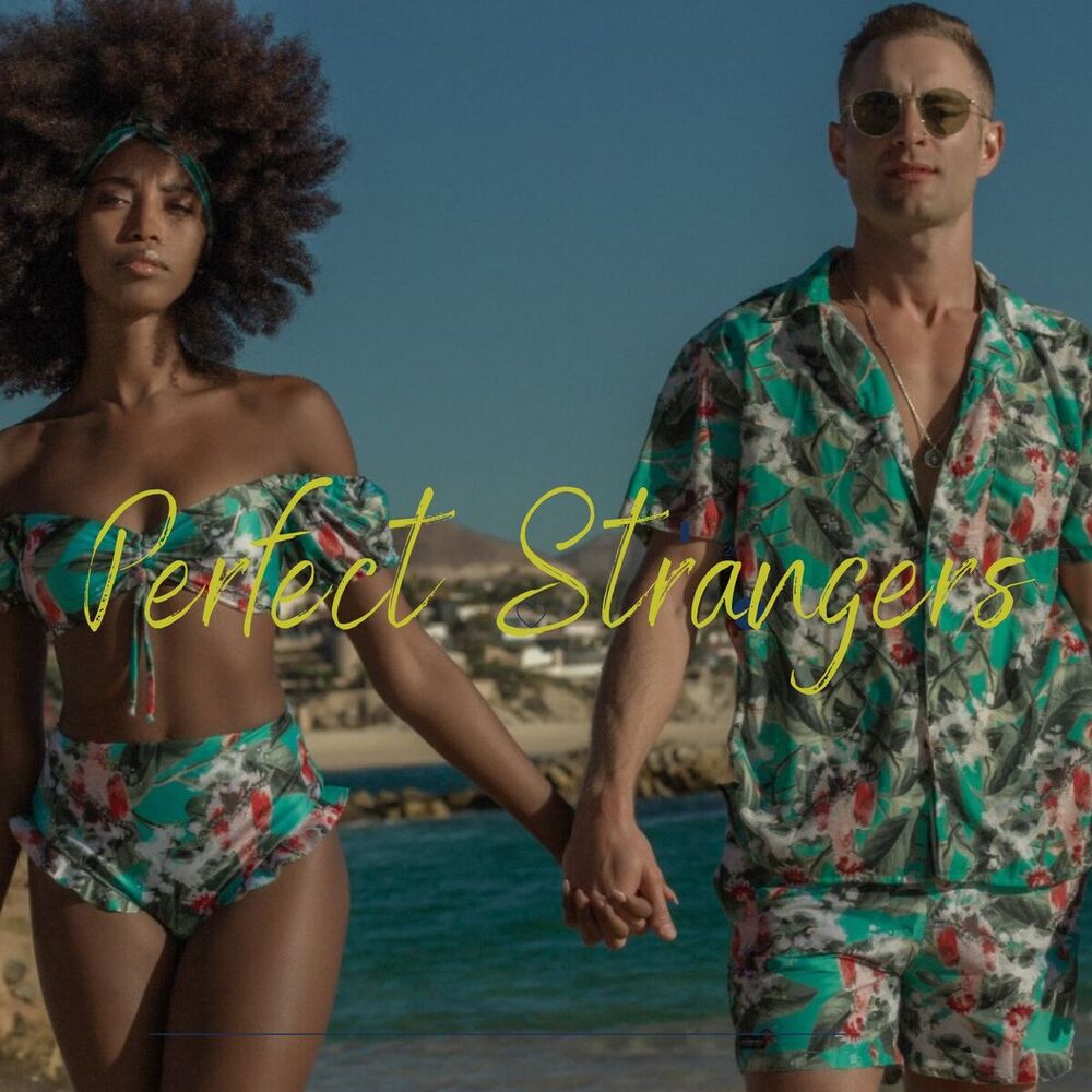 Picture of Perfect Strangers