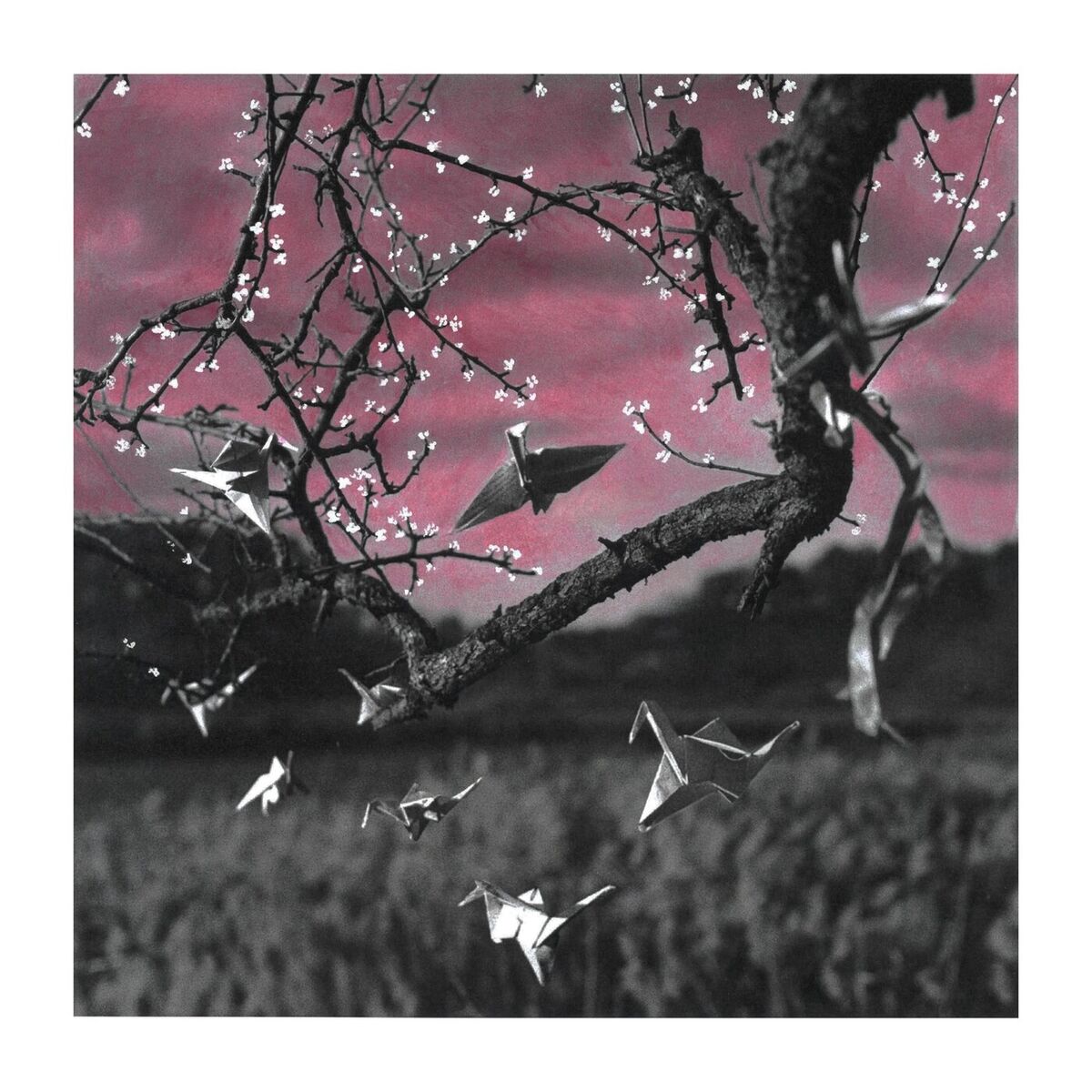 Album cover of Ханамі