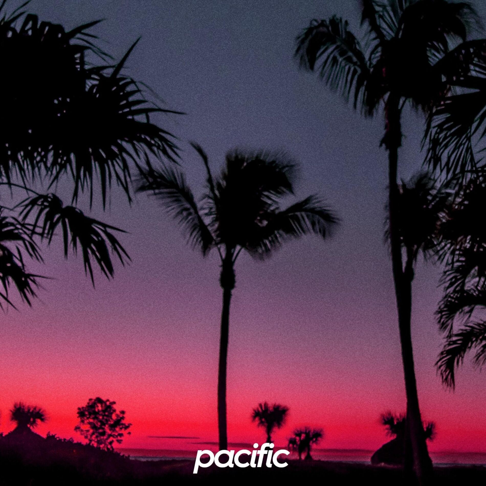 Album cover of Canyon