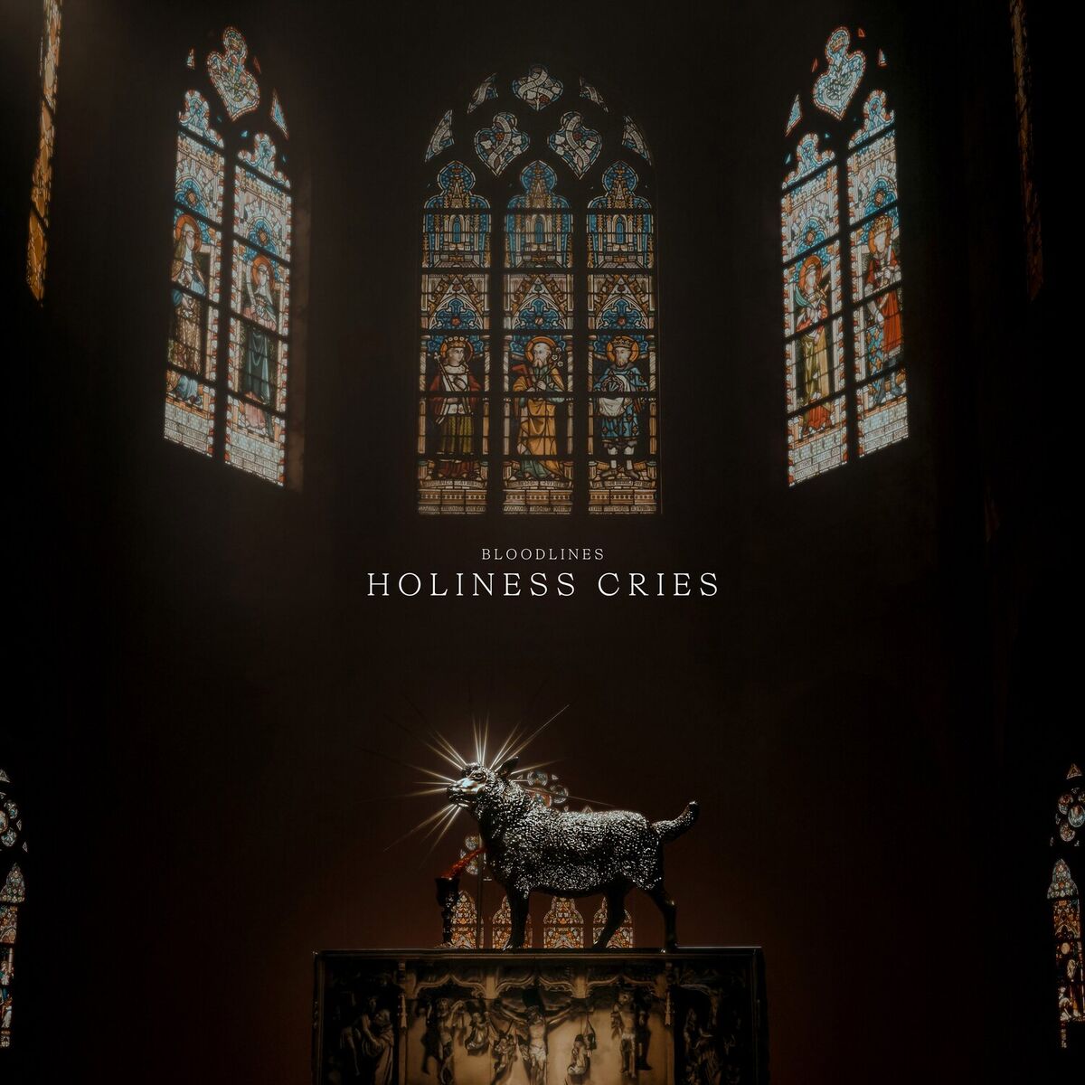 Album cover of Holiness Cries