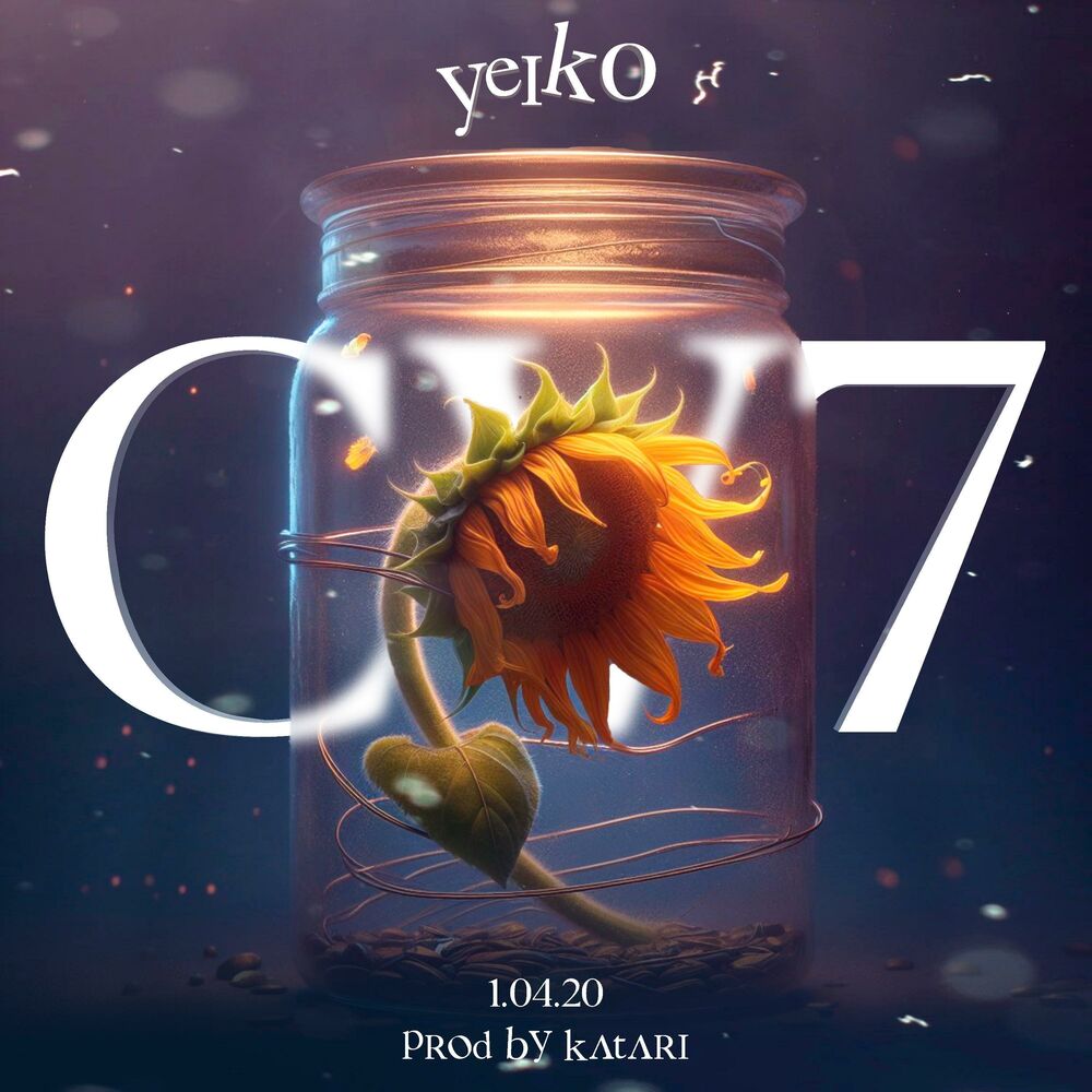 Picture of C V 7