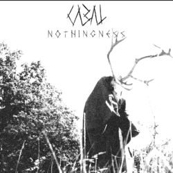 Cover of Nothingness