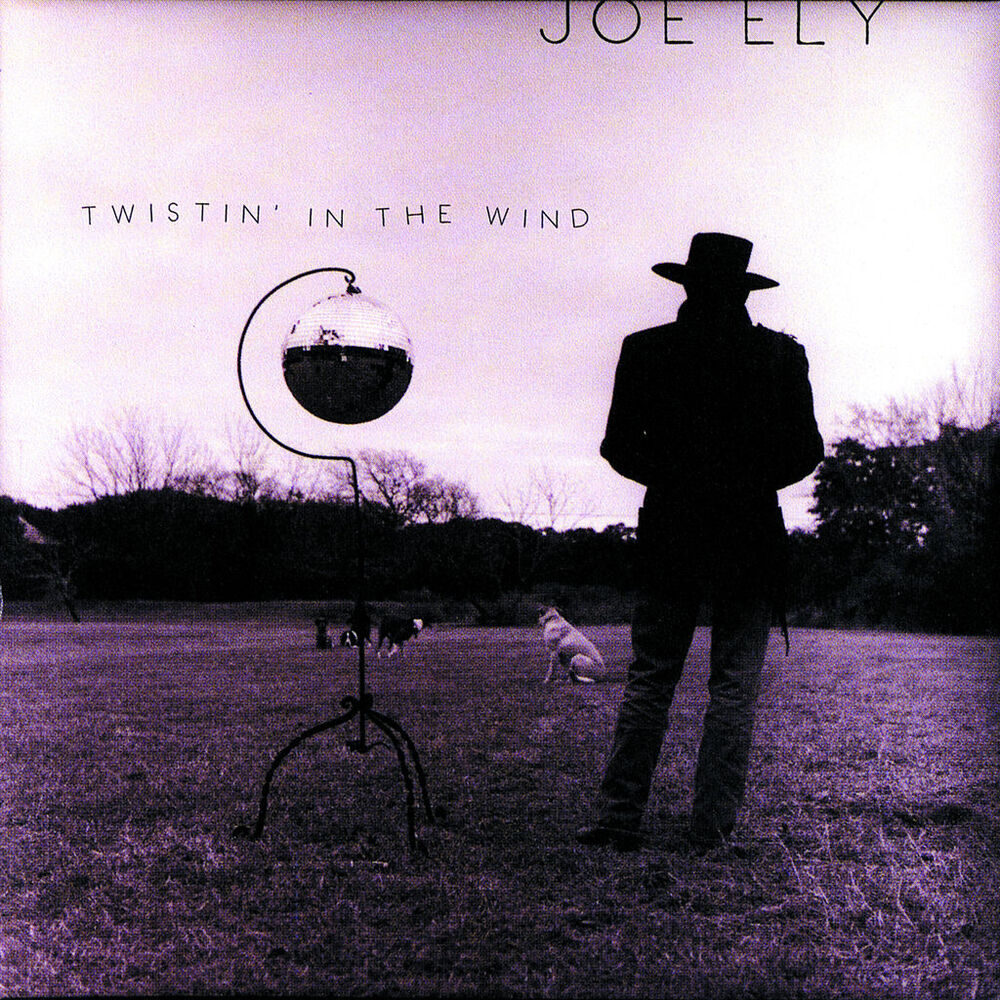 Picture of Twistin' In The Wind