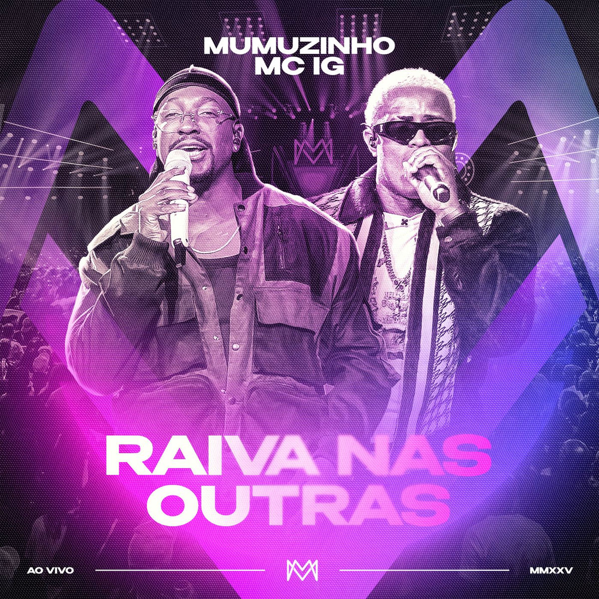 Album cover of Raiva Nas Outras