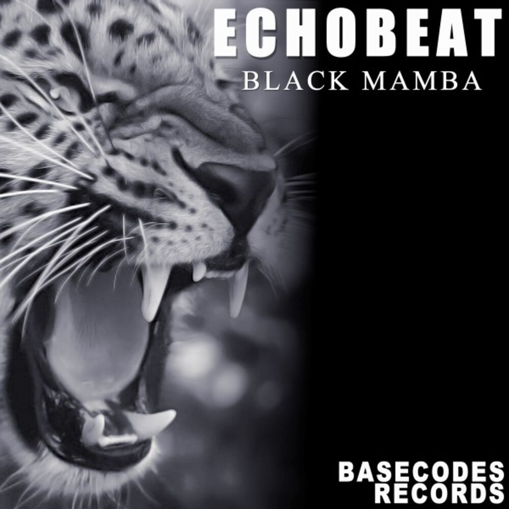Picture of Black Mamba
