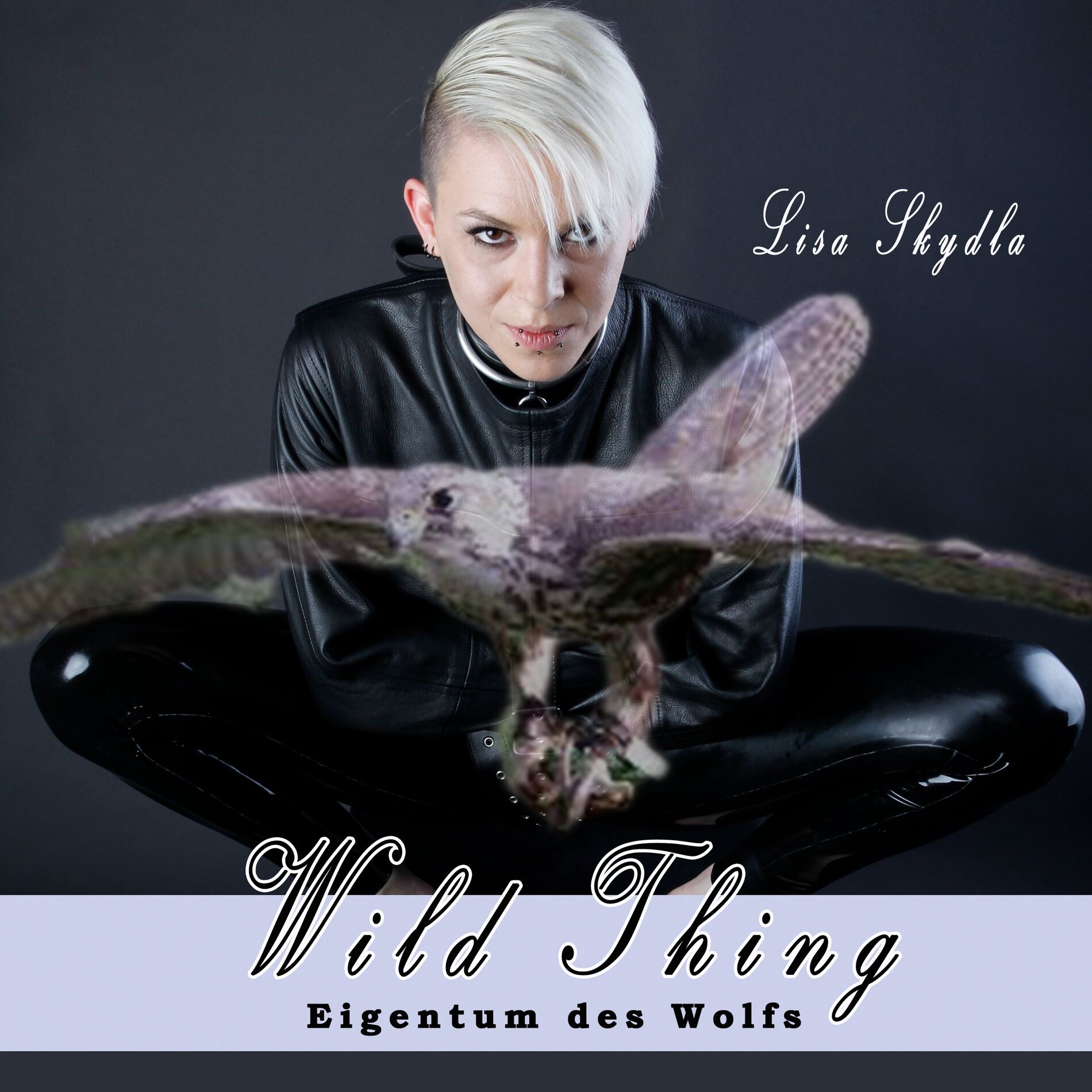 Album cover of Eigentum des Wolfs