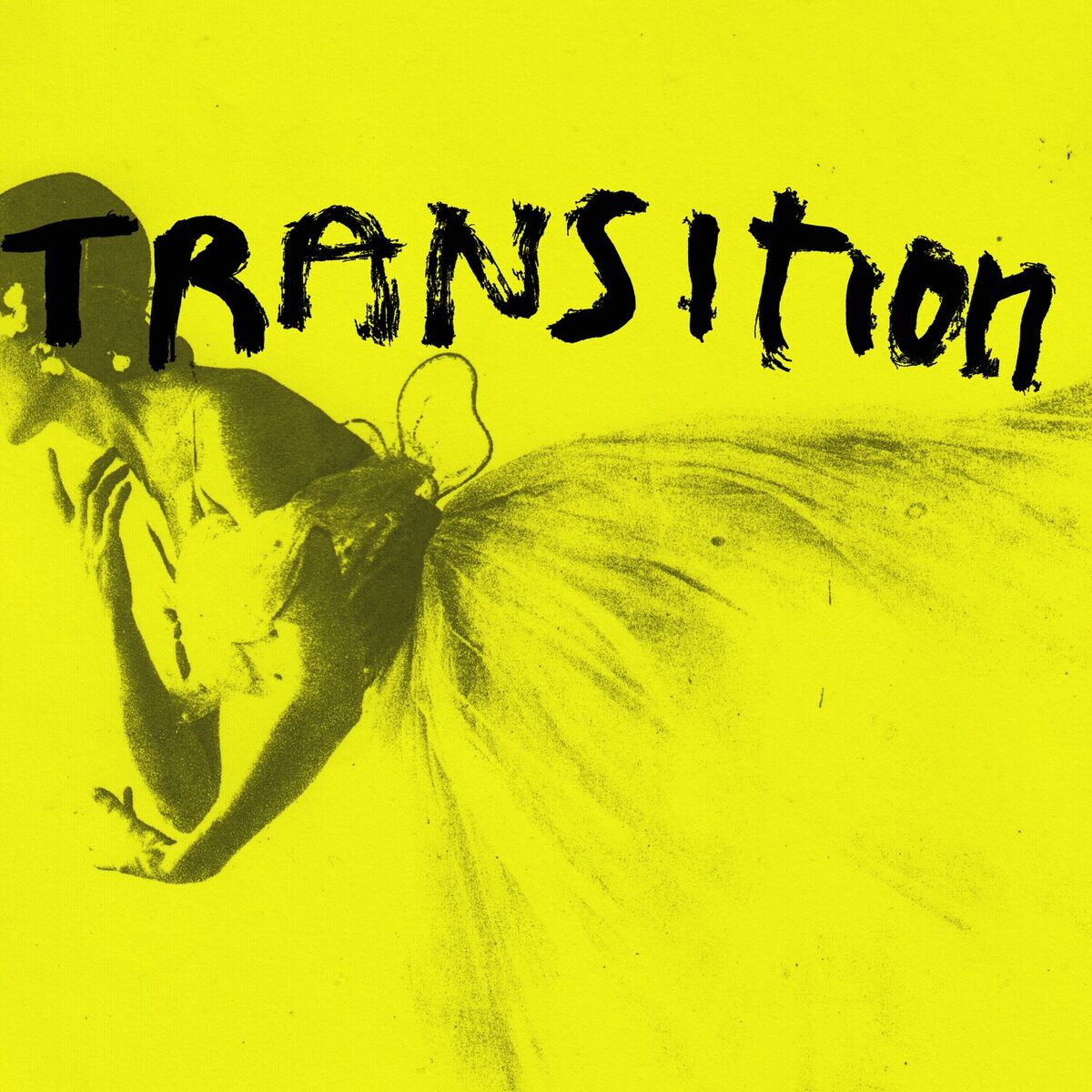 Album cover of Transition