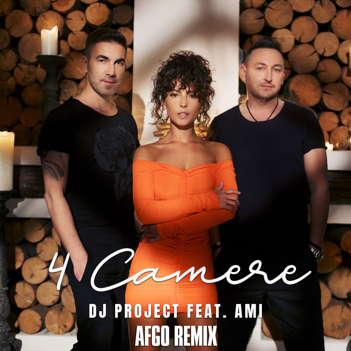 Album cover of 4 Camere (Afgo Remix)