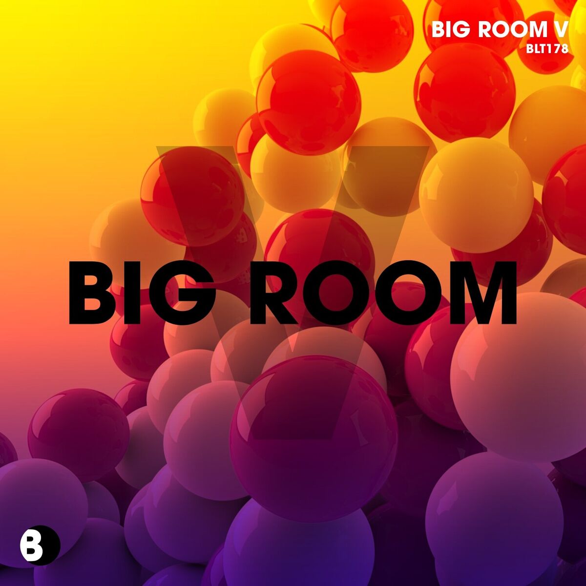 Album cover of Big Room V