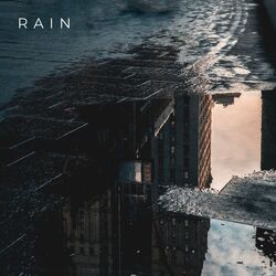 Cover of Rain
