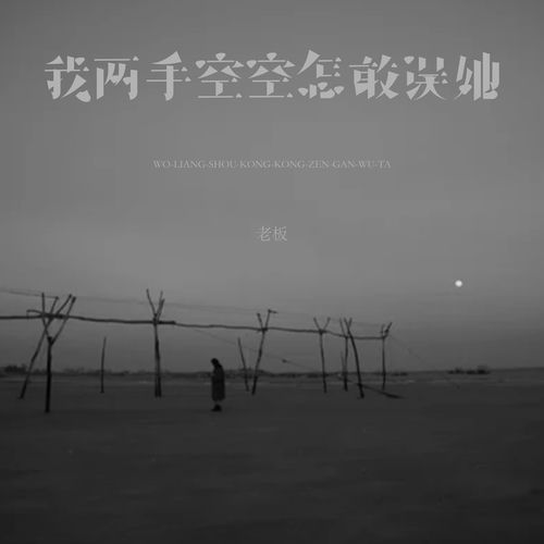 我两手空空怎敢误她