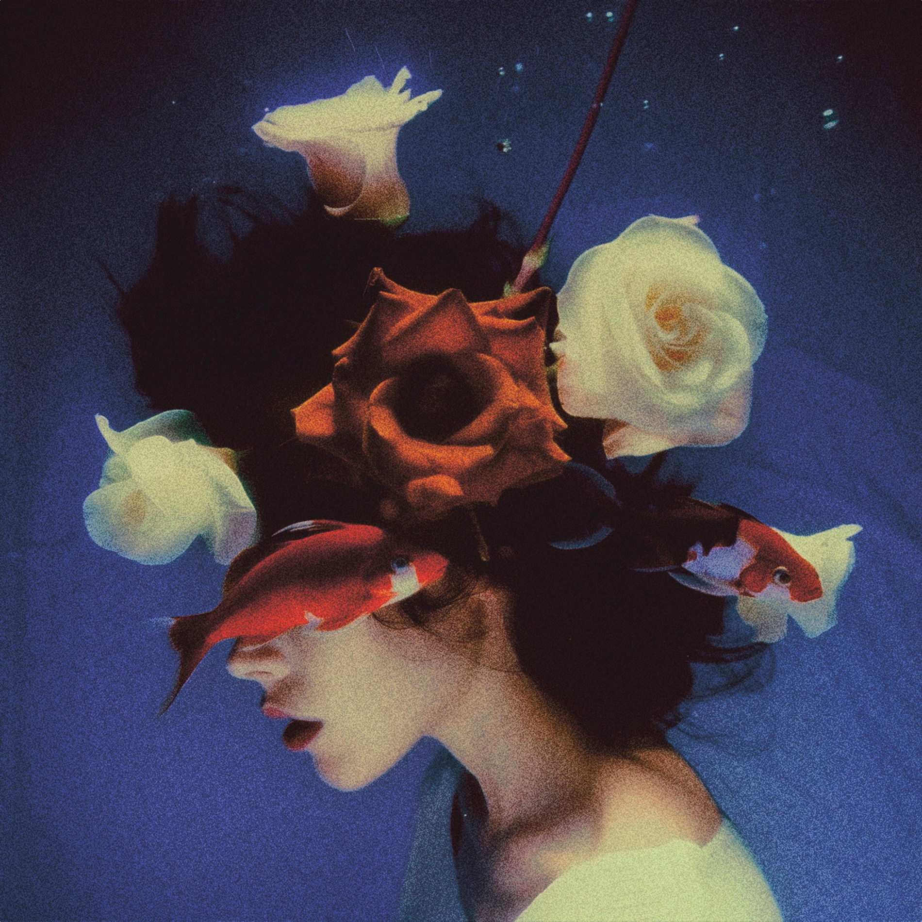 Album cover of Euphoria
