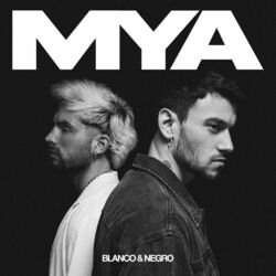 Cover of BLANCO Y NEGRO