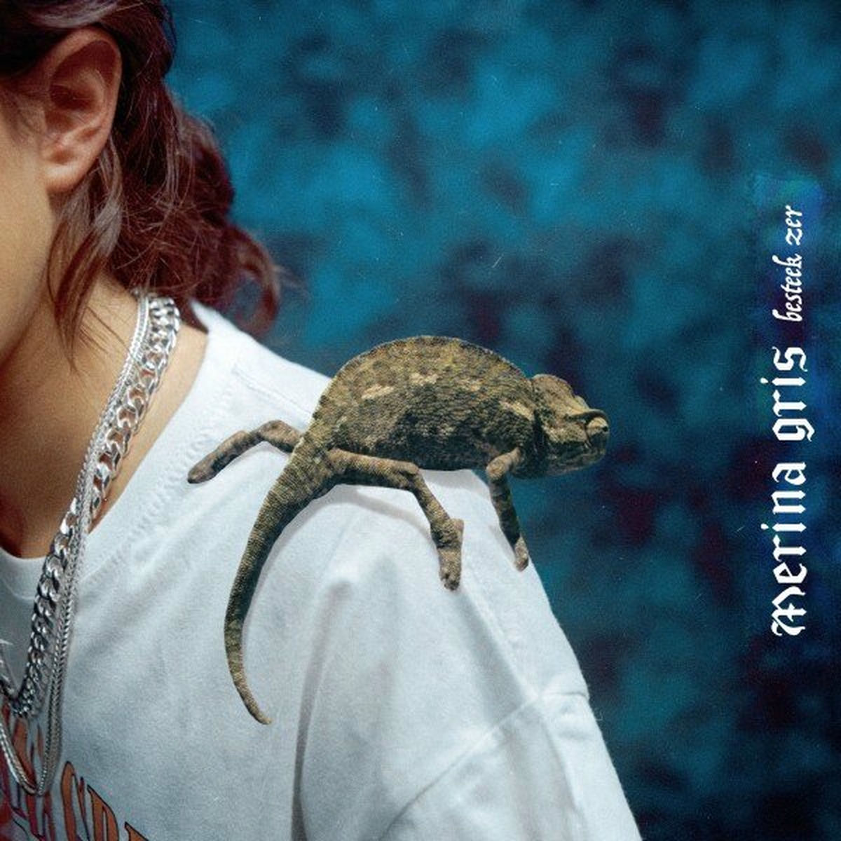 Album cover of Besteek Zer