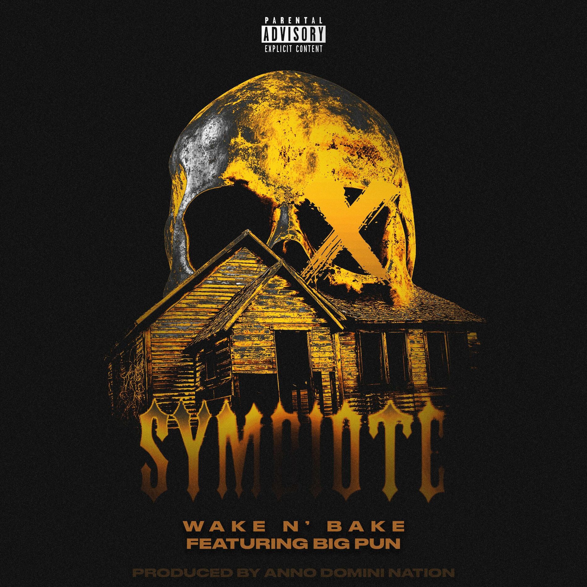 Album cover of Symbiote (feat. Big Pun)