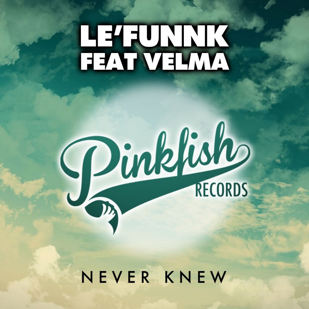 Picture of Never Knew