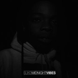 Cover of Midnight Vibes