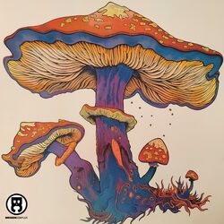 Cover of Microdose